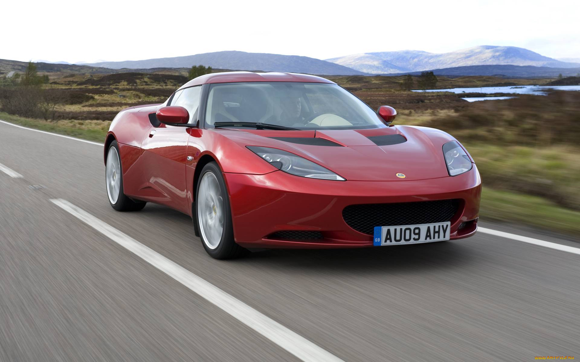, lotus